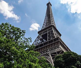 Eiffel Tower and trees