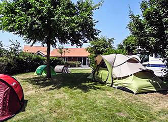 Camping le Rouge Gorge tent pitches