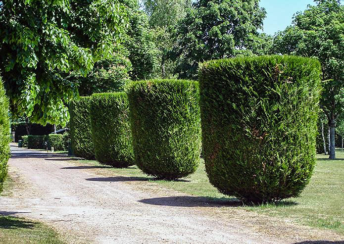 Chateau de la Rolandiere gardens