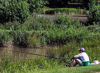 Domaine de Louvarel Campsite fishing