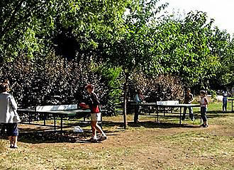 Au Soleil d'Oc Campsite table tennis