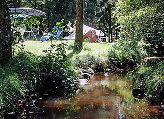 Camping la Petite Riviere fishing