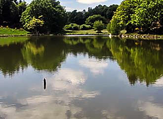 Camping de l'Etang fishing