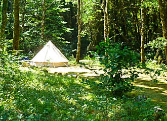 Manzac Ferme Campsite wooded tent pitches