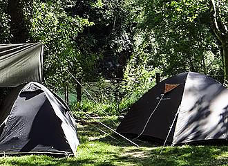 Camping les Cerisiers tent pitches