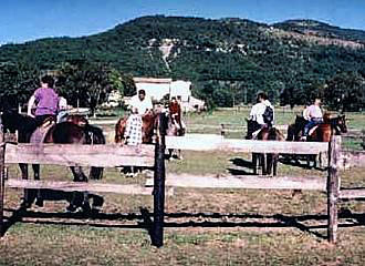 Ferme Equestre du Pesquier horse riding