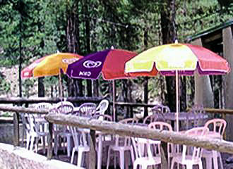 Camping Monte Cinto bar