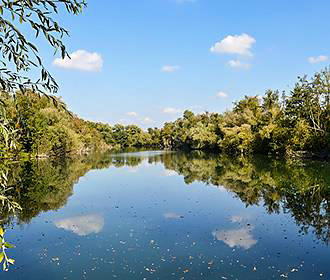 Camping les Canardieres fishing