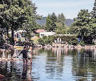 Camping les Jonquilles fishing