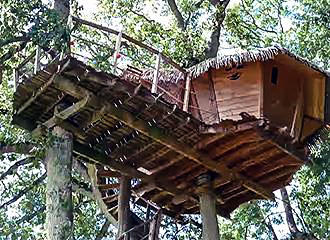 Chateau de Lez-Eaux tree house