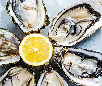 French food delicacy Oysters