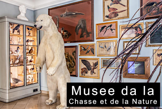 Musee da la Chasse et de la Nature