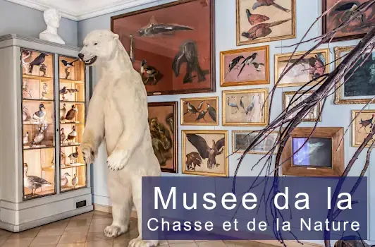 Musee da la Chasse et de la Nature
