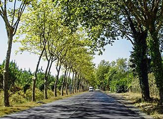 French country road