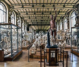 Galeries d'Anatomie Comparee et de Paleontologie hall and displays