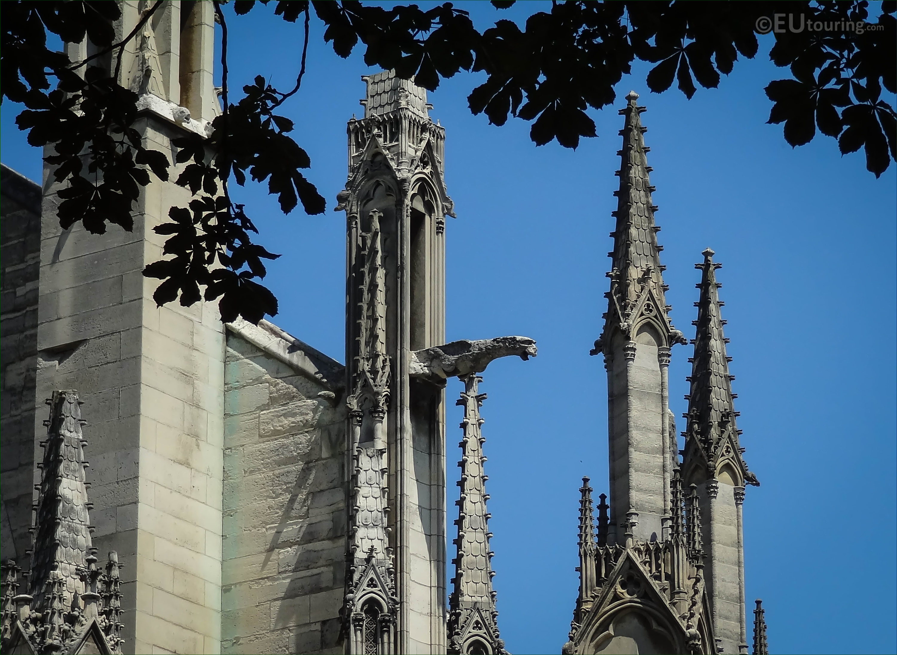 HD photographs of Gargoyles on Notre Dame Cathedral in Paris