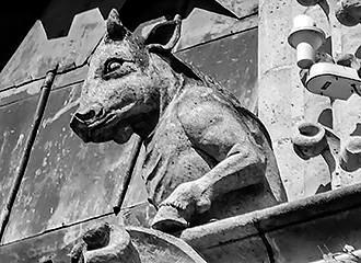 Notre Dame Cathedral chimera statue