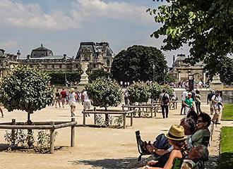 Musee du Louvre gardens