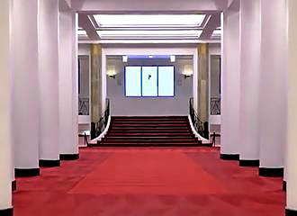 Salle Playel red carpet