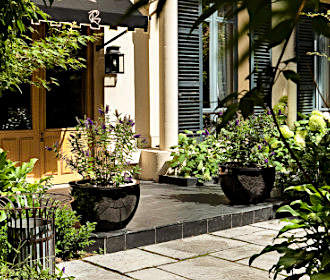 Hotel Regents Garden plants