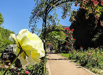 Ile de France gardens