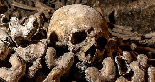 Catacombes de Paris