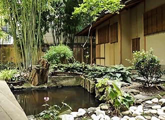Shrubs within the Japanese Garden