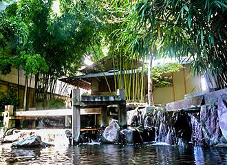 Water feature within Japanese Garden