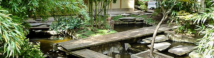 Japanese Garden elements