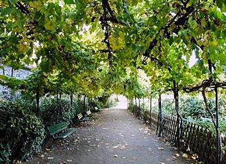 Arched trellis walkway inside Jardin Catherine Laboure