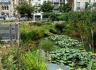 Jardin de la Folie Titon pond