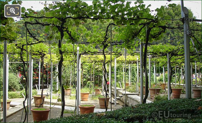 Jardin de la Treille terracotta pots