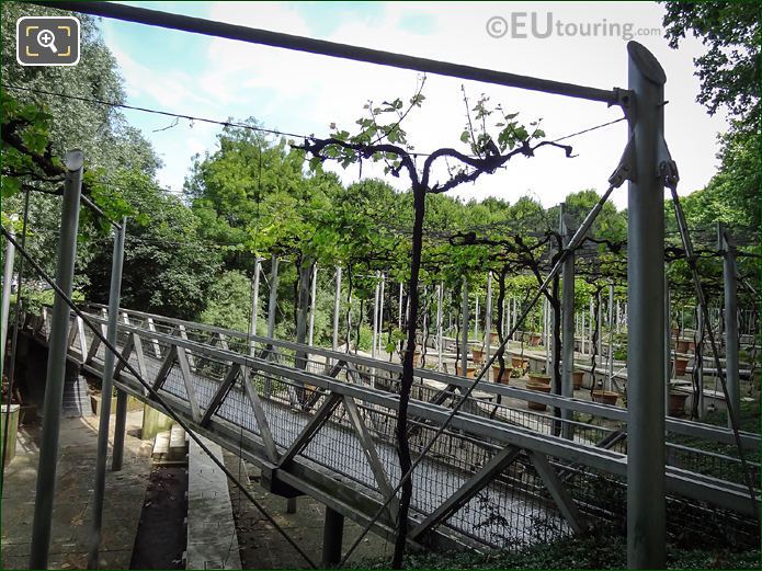 Jardin de la Treille suspended walkway