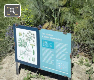 Essential oils at Jardin des Plantes