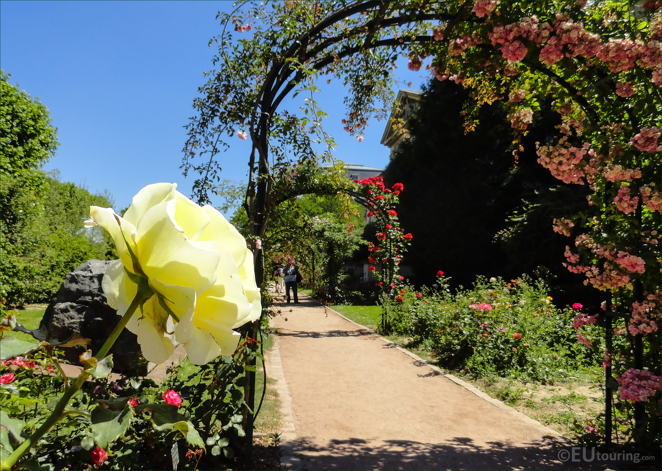 HD photographs of Jardin des Plantes in Paris France - JarDin Des Plantes K14 DSC06560 Lrg