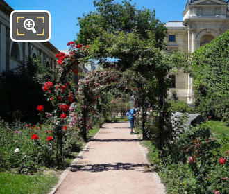 Red roses inside Jardin des Plantes