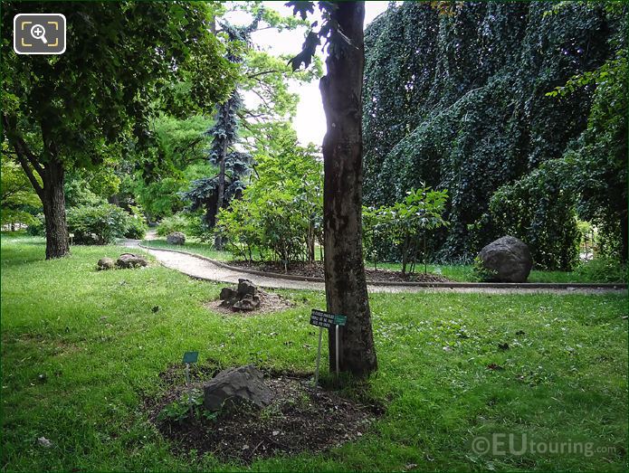 Esplanade Lamarck pathway Jardin des Plantes