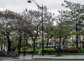 Jardin Francoise-Giroud trees