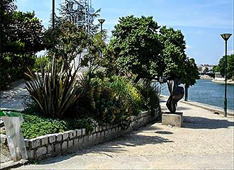 Jardin Tino Rossi shrubs