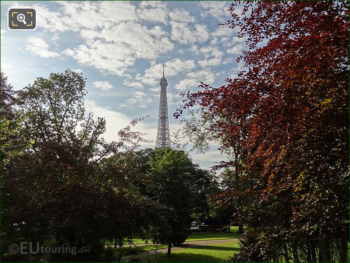 Trocadero's trees in southern part of the gardens