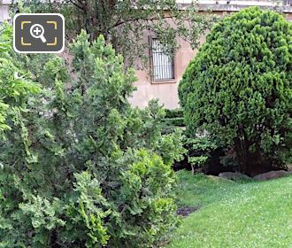 Shrubs and bushes in Trocadero Gardens