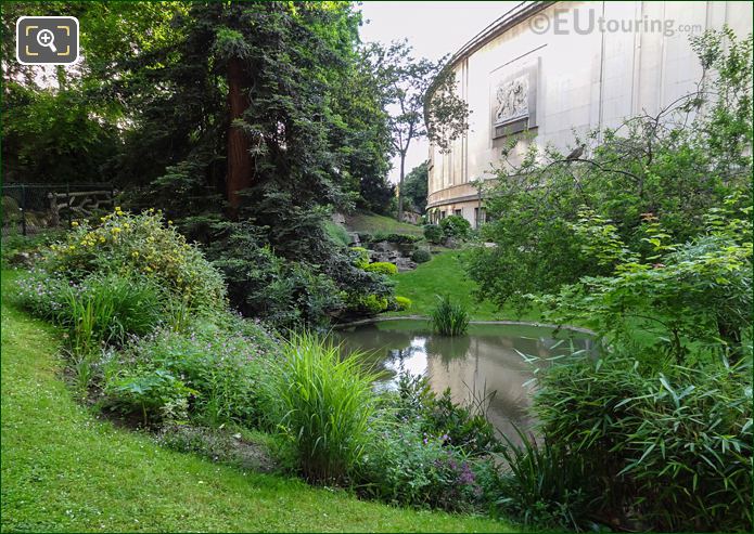 Shrubs and aquatic plants, on NW side of Jardins du Trocadero