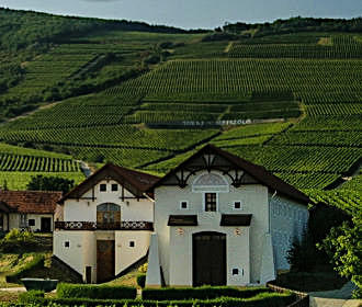 La Reserve Tokaj Hetszolo vineyard