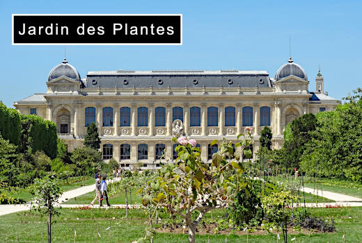 Jardin des Plantes Botanical Gardens