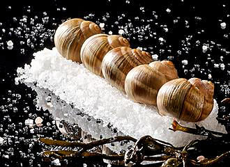 Le Bar a Huitres sea snails