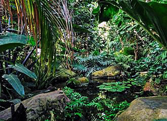 Water feature inside Les Grandes Serres