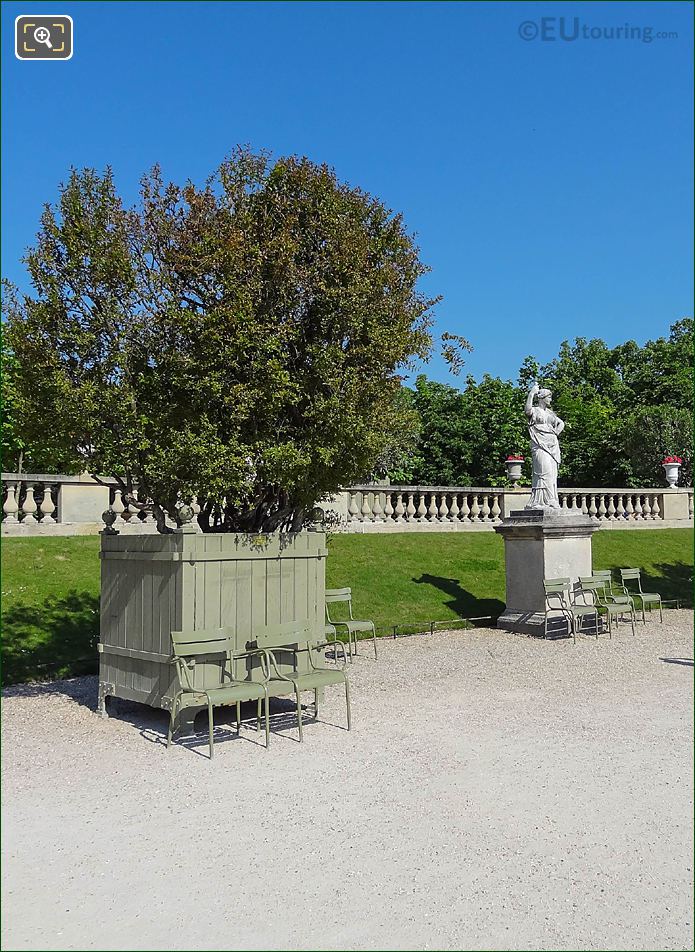 Pot no 29 with Punica Granatum Flore Pleno shrub, Jardin du Luxembourg