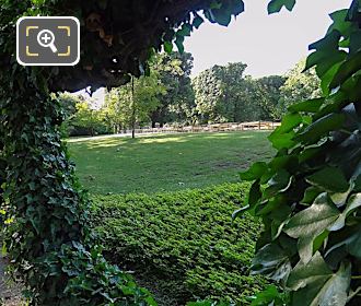 Looking through Ivy garlands in Jardin du Luxembourg