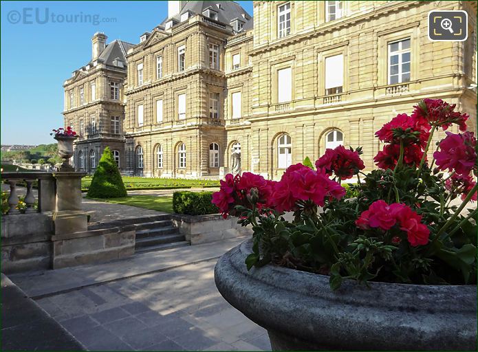 Palais du Luxembourg stone flower pots and topiary tree