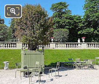 Punica Granatum Flore Pleno in front of Luxembourg Gardens West terrace